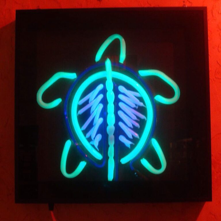 neon-art-totem-blacklight-turtle-eugene-oregon-1