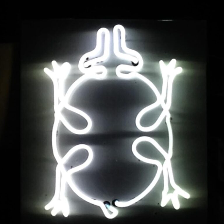 neon-art-turtle-totem-eugene-oregon-1